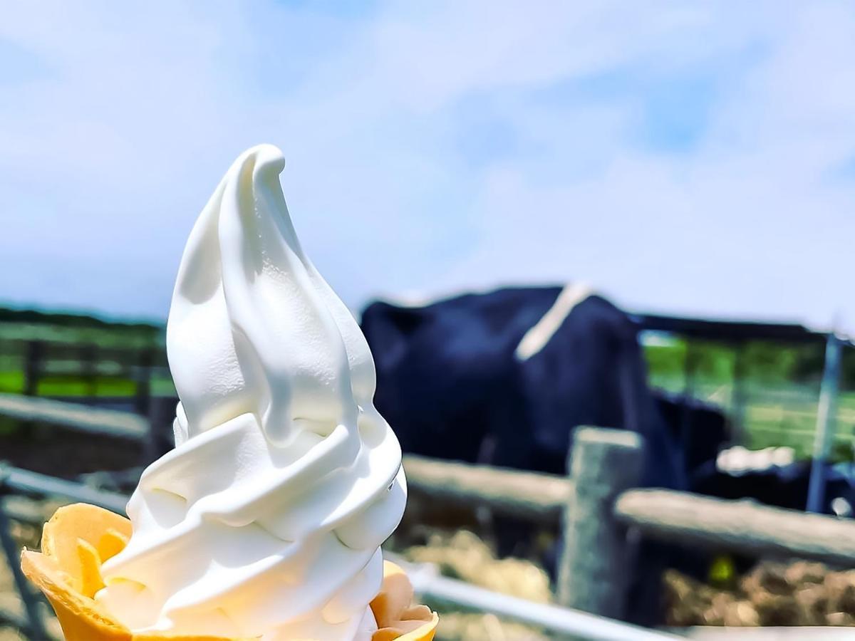 癒楽 伊豆大島ホステル エクステリア 写真