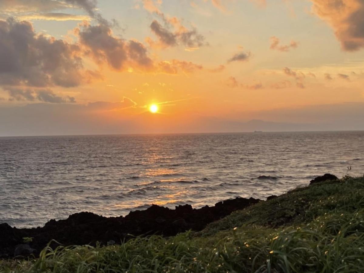 癒楽 伊豆大島ホステル エクステリア 写真
